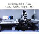 SP5 -正置共聚焦、双光子、FCS